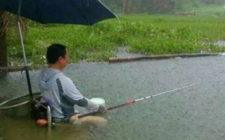 雨天垂钓的诗词
