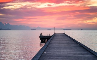 探索知识的海洋，百科图文带你领略世界万象
