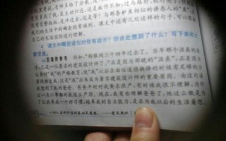 垂钓之乐450字作文以上