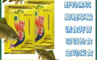 钓鱼大师讲解黑坑小药