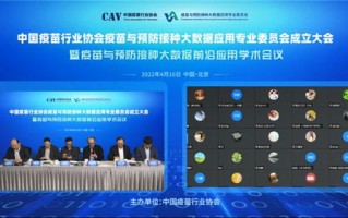 大数据专业哪个学校最好