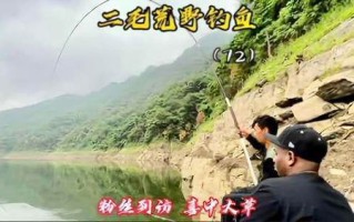 二毛荒野垂钓谋生110天最新视频