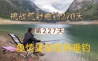 垂钓之神无需下载