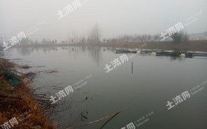 乐安休闲垂钓基地