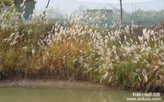 蚌埠野钓地点推荐