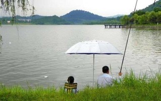 水库钓鱼风景图片