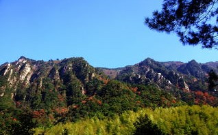 济南大明湖宠物市场几点开门