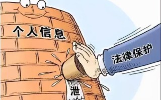 法律框架
