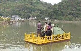 溧阳可以钓鱼的民宿