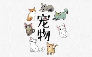 变身动画有宠物吗