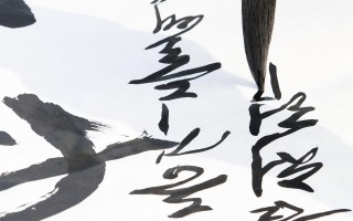 解锁学术大门，教务系统登录网址的神奇魅力