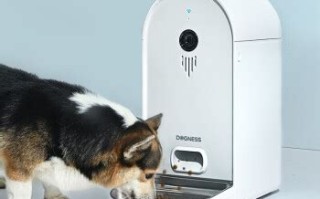 1.选购适合的定时喂食器