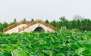 温江新庄社区诚信垂钓园在哪里