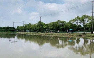垂钓中心设计图片大全