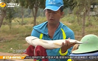 快乐垂钓腾讯-收获快乐，享受钓鱼乐趣