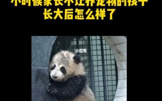 该不该让孩子养狗