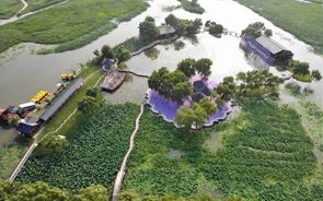 苏州钓大鱼的地方
