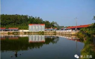 宜昌原生态垂钓园区：一场与自然亲密接触的垂钓体验