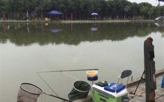 垂钓露营基地