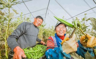 垂钓园计划书