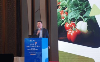 来宾大数据发展局