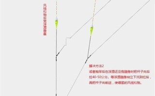 垂钓鲤鱼：寻找底游的技巧