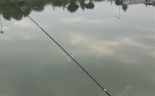 长沙钓鱼钓场