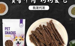 贝迪宠物