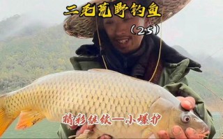 挑战与收获