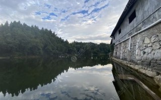 宜昌室内垂钓群