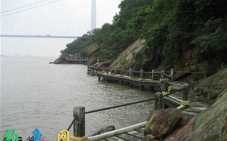 丰县鱼塘垂钓指南
