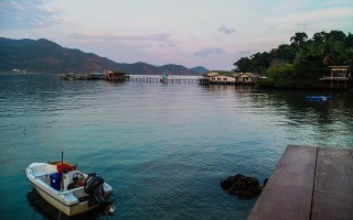 博主遭遇羊群被烧死事件，抚养子女与重建生活的挑战