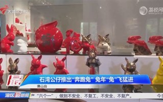 余姚宠物狗