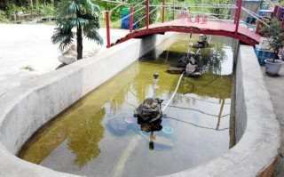 沈阳能钓鱼的农家院