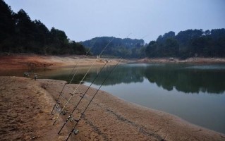 郑州周边垂钓野营指南