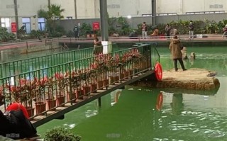 从葬是什么意思