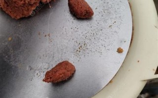 1.选择合适的场地