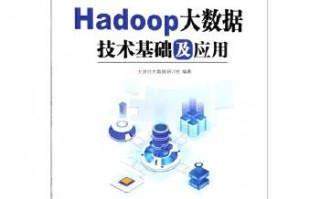 大数据应用与管理自学