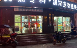 邵阳宠物医院在哪里?