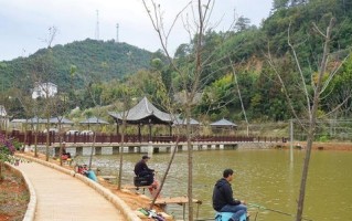 垂钓园进鱼在哪里进