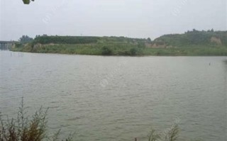 山西临汾碧水垂钓园简介图片