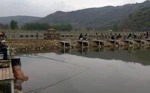 探寻甘谷县垂钓园的乐趣