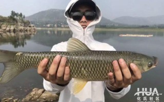 白云水库