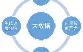 大数据4v理论是谁提出的