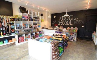 达州哪儿有宠物店
