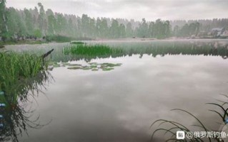 俄罗斯钓鱼4新手买什么鱼竿