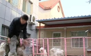 宠物店能不能换狗粮