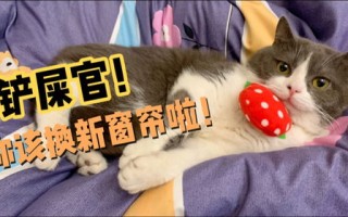 养宠物不能出去玩