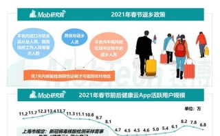 春节大数据分析