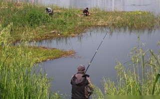 入秋后连续小雨野钓